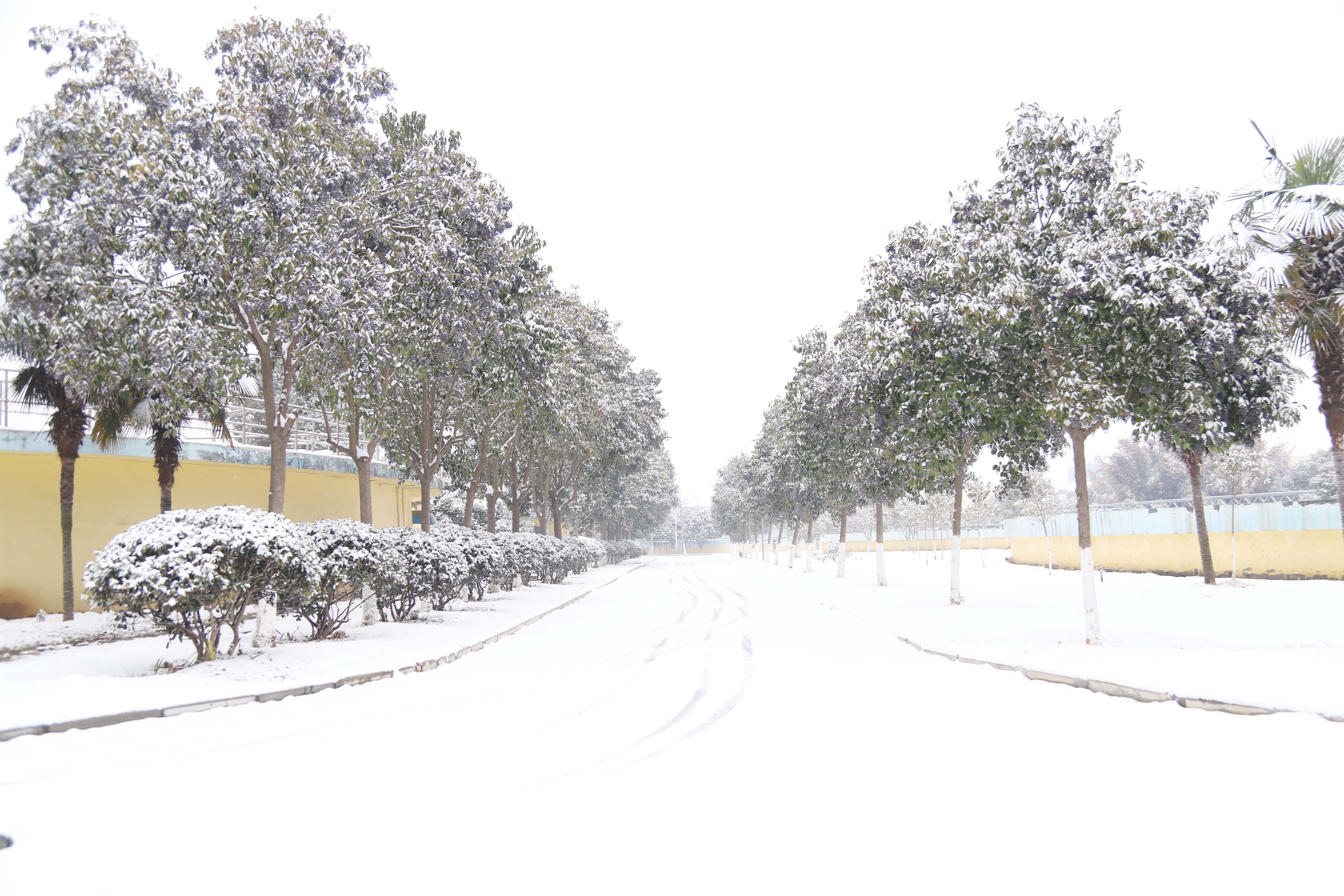 pp���ӡ�ģ����(������Ϸ)�ٷ���վ