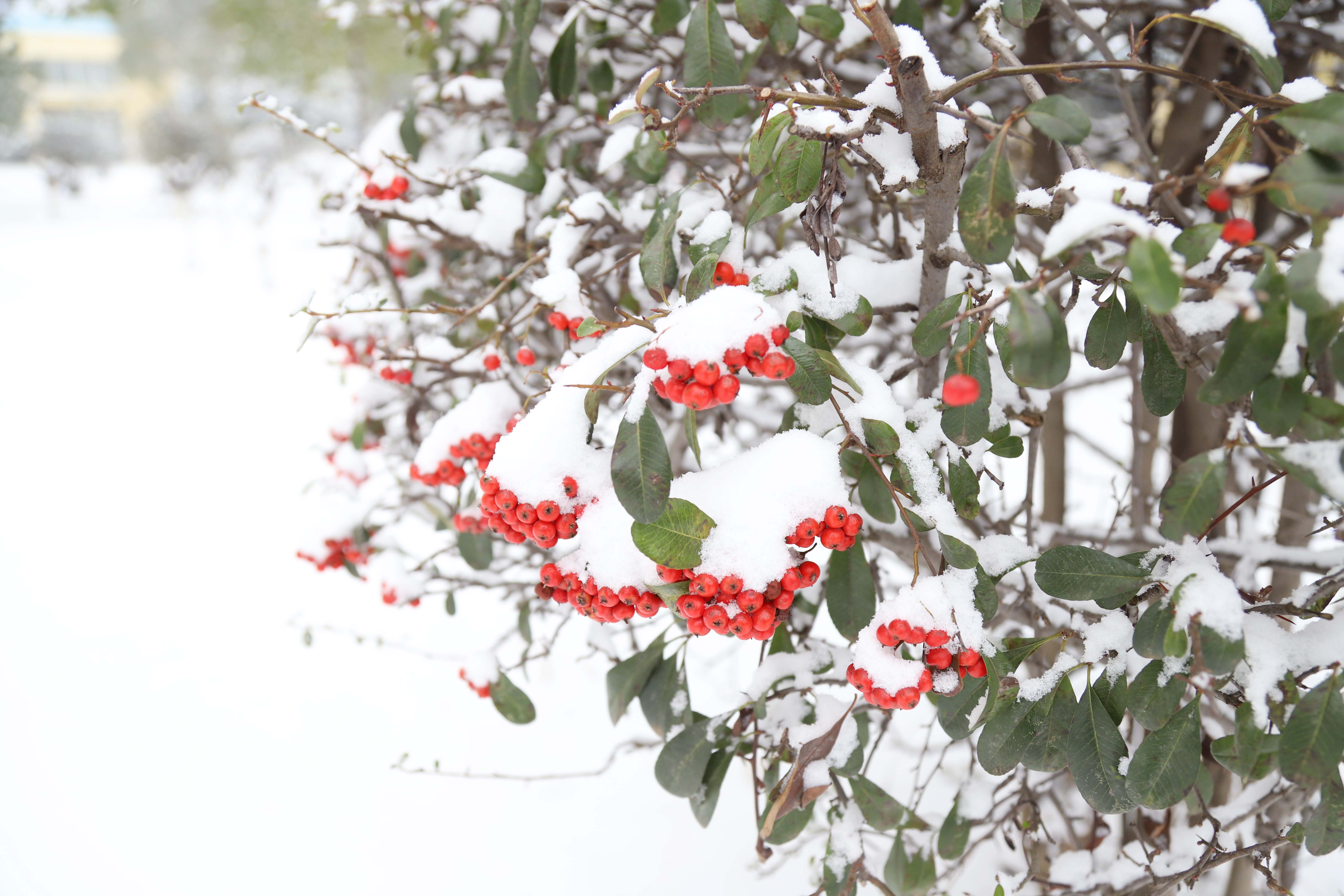 pp���ӡ�ģ����(������Ϸ)�ٷ���վ