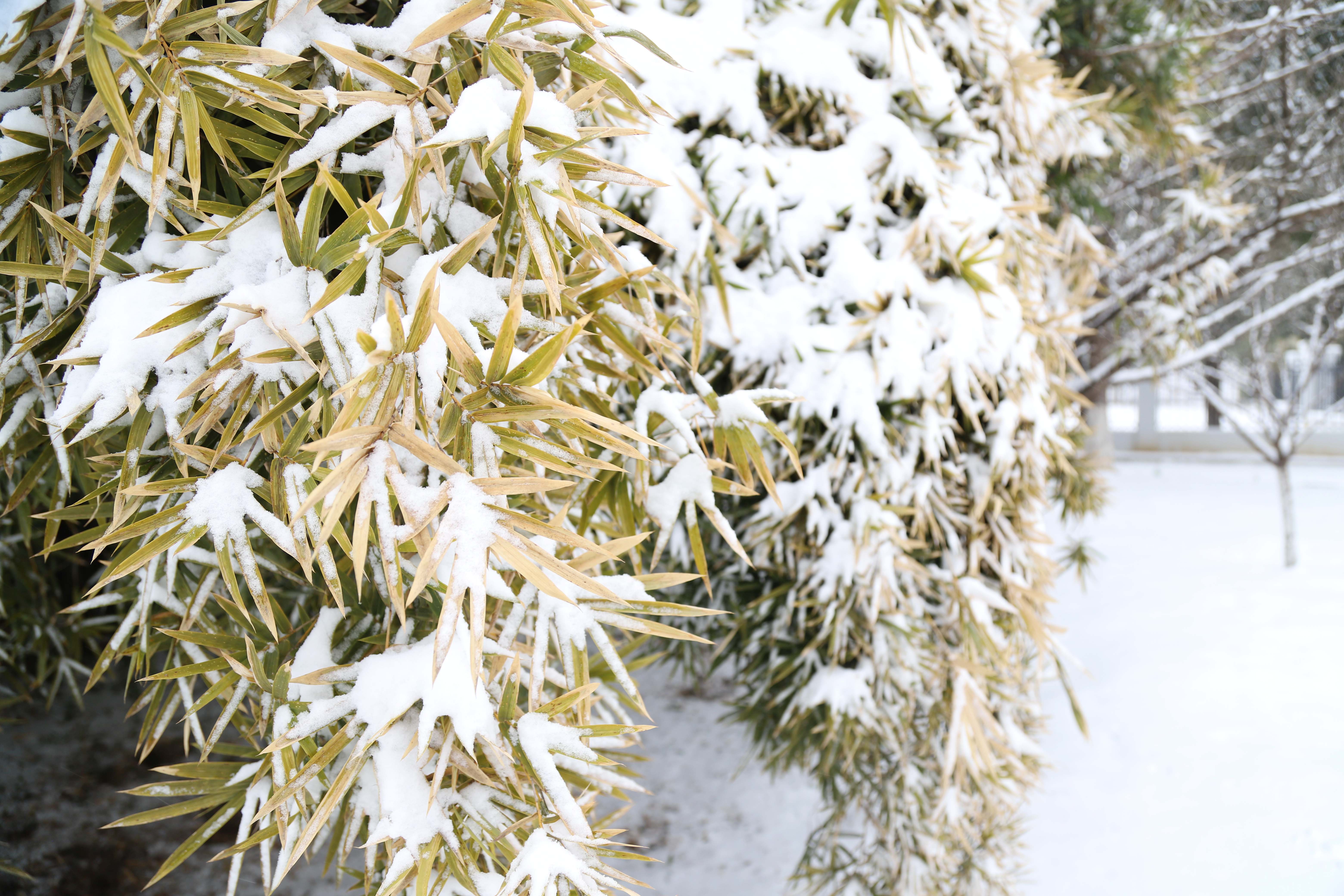 pp���ӡ�ģ����(������Ϸ)�ٷ���վ