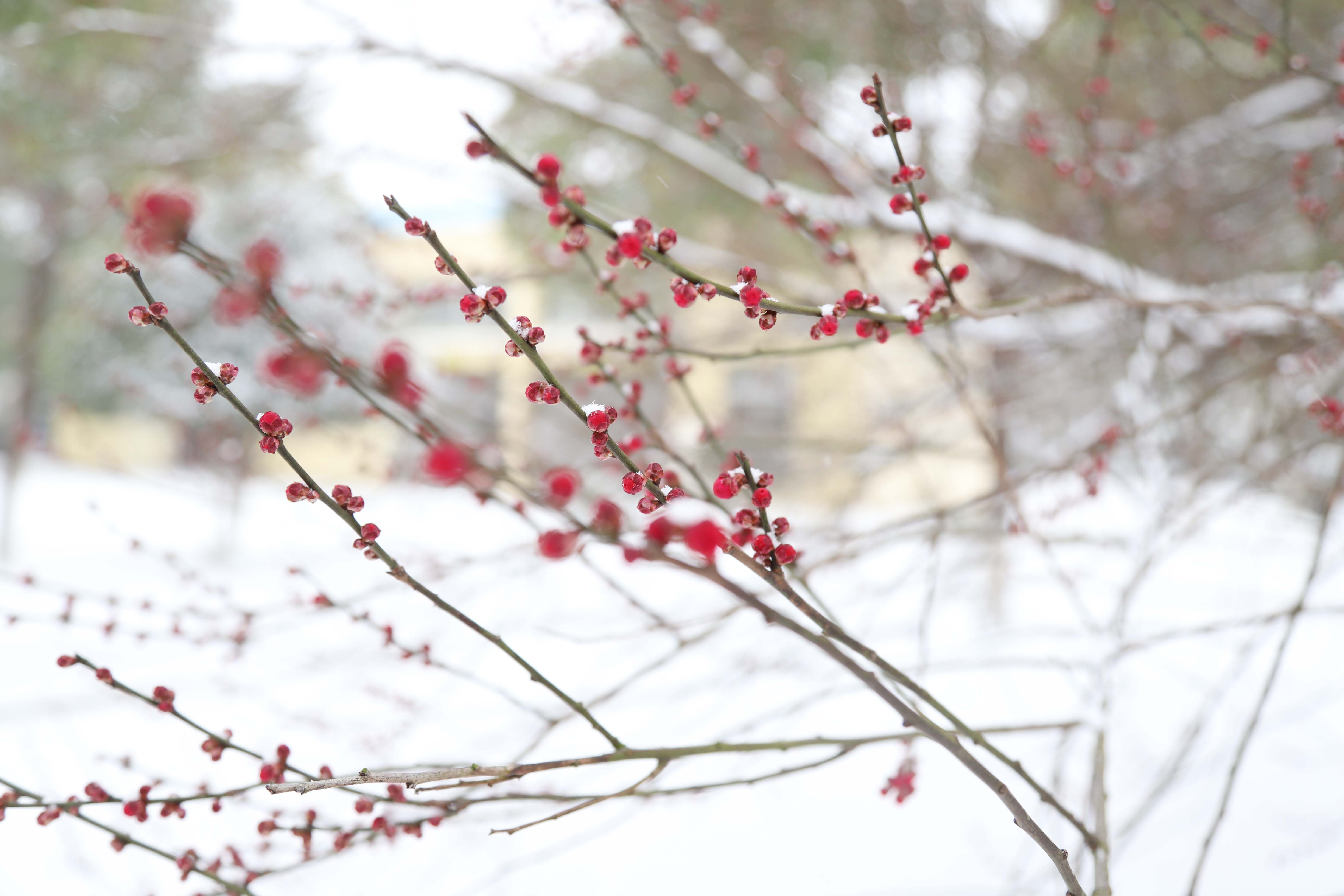 pp���ӡ�ģ����(������Ϸ)�ٷ���վ