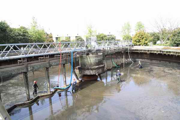 pp���ӡ�ģ����(������Ϸ)�ٷ���վ