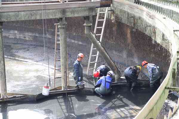 pp���ӡ�ģ����(������Ϸ)�ٷ���վ