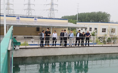 pp���ӡ�ģ����(������Ϸ)�ٷ���վ